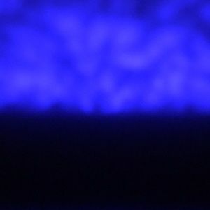 Meet your Posher, Jackson